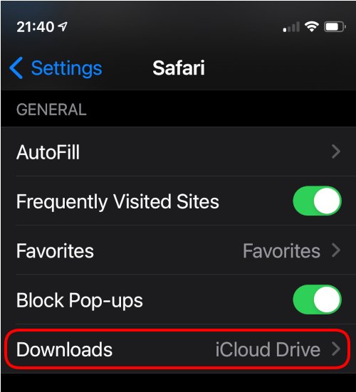 Safari Settings for Download 1