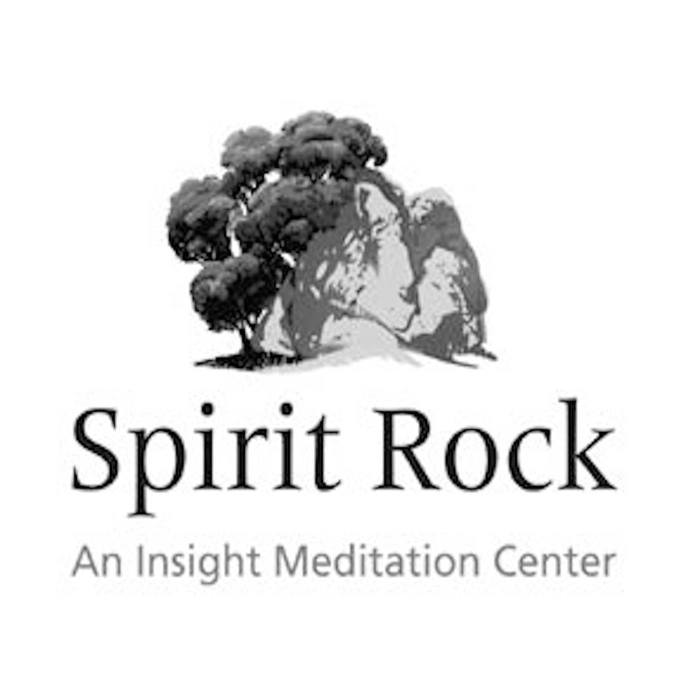 Matthew Brensilver: Language is the hammer and every problem, a nail (Retreat at Spirit Rock)